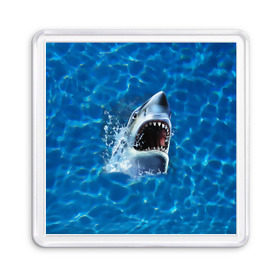 Магнит 55*55 с принтом Пасть акулы , Пластик | Размер: 65*65 мм; Размер печати: 55*55 мм | акула | атака | белая | брызги | вода | волны | зубы | капли | море | океан | опасность | синяя | челюсти | эффект