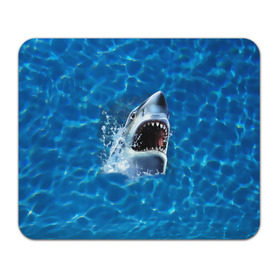 Коврик прямоугольный с принтом Пасть акулы , натуральный каучук | размер 230 х 185 мм; запечатка лицевой стороны | акула | атака | белая | брызги | вода | волны | зубы | капли | море | океан | опасность | синяя | челюсти | эффект