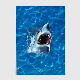 Постер с принтом Пасть акулы , 100% бумага
 | бумага, плотность 150 мг. Матовая, но за счет высокого коэффициента гладкости имеет небольшой блеск и дает на свету блики, но в отличии от глянцевой бумаги не покрыта лаком | акула | атака | белая | брызги | вода | волны | зубы | капли | море | океан | опасность | синяя | челюсти | эффект