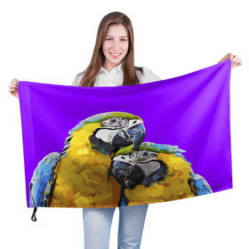 Флаг 3D с принтом Попугайчики , 100% полиэстер | плотность ткани — 95 г/м2, размер — 67 х 109 см. Принт наносится с одной стороны | bird | животные | попугайчики | птицы | текстуры