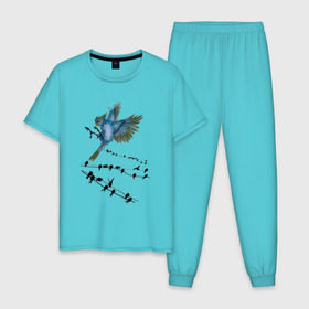 Мужская пижама хлопок с принтом Ласточка , 100% хлопок | брюки и футболка прямого кроя, без карманов, на брюках мягкая резинка на поясе и по низу штанин
 | весна | колибри | крылья | мызыка | ноты | пение | перо | перышко | перья