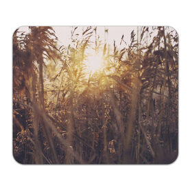 Коврик прямоугольный с принтом Солнце во ржи , натуральный каучук | размер 230 х 185 мм; запечатка лицевой стороны | Тематика изображения на принте: восход | закат | лучи | поле | природа | растения | рож | солнце | тепло