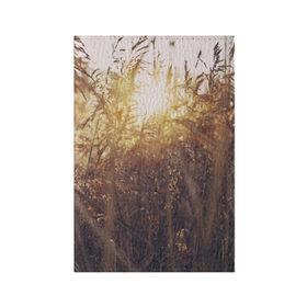 Обложка для паспорта матовая кожа с принтом Солнце во ржи , натуральная матовая кожа | размер 19,3 х 13,7 см; прозрачные пластиковые крепления | Тематика изображения на принте: восход | закат | лучи | поле | природа | растения | рож | солнце | тепло