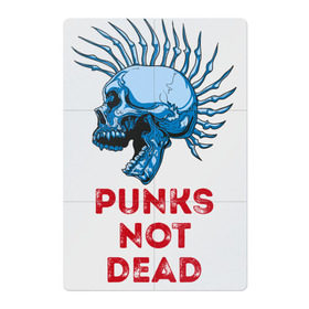 Магнитный плакат 2Х3 с принтом Punks not dead , Полимерный материал с магнитным слоем | 6 деталей размером 9*9 см | Тематика изображения на принте: music | punk | rock | skull | музыка | панк | рок | череп | черепа