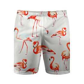 Мужские шорты 3D спортивные с принтом Фламинго ,  |  | арт | птицы | текстура | фламинго
