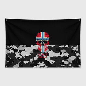 Флаг-баннер с принтом Made in Norway , 100% полиэстер | размер 67 х 109 см, плотность ткани — 95 г/м2; по краям флага есть четыре люверса для крепления | camouflage | made in norway | skull | абстракция | города | камуфляж | нация | норвегия | страны | текстуры | череп