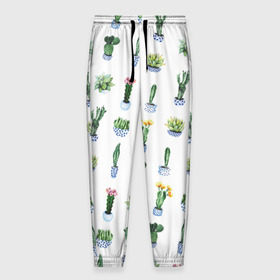 Мужские брюки 3D с принтом Кактусы , 100% полиэстер | манжеты по низу, эластичный пояс регулируется шнурком, по бокам два кармана без застежек, внутренняя часть кармана из мелкой сетки | горшок | зеленый | кактус | принт | растение | флора | цветы