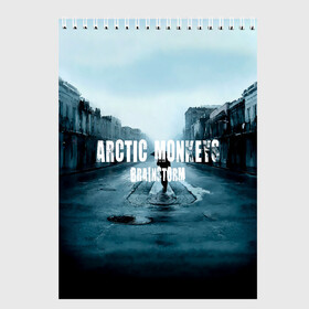 Скетчбук с принтом Arctic Monkeys brainstorm , 100% бумага
 | 48 листов, плотность листов — 100 г/м2, плотность картонной обложки — 250 г/м2. Листы скреплены сверху удобной пружинной спиралью | алекс тёрнер | арктик | арктические мартышки | гаражный | группа | джейми кук | инди рок | манкис | музыка | мэтт хелдер | ник о мэлли | обезьяна | постпанк ривайвл | психоделический | рок