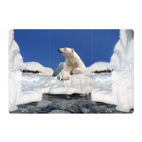 Магнитный плакат 3Х2 с принтом Арктика , Полимерный материал с магнитным слоем | 6 деталей размером 9*9 см | Тематика изображения на принте: animals | bear | ice | nature | polar bear | power | travel | белый медведь | животные | лёд | медведь | природа | путешествия | сила | снег