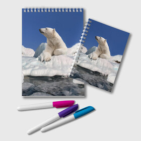 Блокнот с принтом Арктика , 100% бумага | 48 листов, плотность листов — 60 г/м2, плотность картонной обложки — 250 г/м2. Листы скреплены удобной пружинной спиралью. Цвет линий — светло-серый
 | animals | bear | ice | nature | polar bear | power | travel | белый медведь | животные | лёд | медведь | природа | путешествия | сила | снег