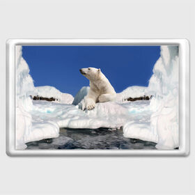 Магнит 45*70 с принтом Арктика , Пластик | Размер: 78*52 мм; Размер печати: 70*45 | animals | bear | ice | nature | polar bear | power | travel | белый медведь | животные | лёд | медведь | природа | путешествия | сила | снег