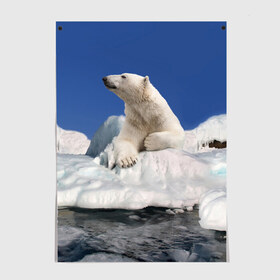 Постер с принтом Арктика , 100% бумага
 | бумага, плотность 150 мг. Матовая, но за счет высокого коэффициента гладкости имеет небольшой блеск и дает на свету блики, но в отличии от глянцевой бумаги не покрыта лаком | Тематика изображения на принте: animals | bear | ice | nature | polar bear | power | travel | белый медведь | животные | лёд | медведь | природа | путешествия | сила | снег