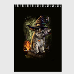 Скетчбук с принтом Ведьмин котенок , 100% бумага
 | 48 листов, плотность листов — 100 г/м2, плотность картонной обложки — 250 г/м2. Листы скреплены сверху удобной пружинной спиралью | jack | ведьма | кот | котенок | кошка | тыква | хэллоуин