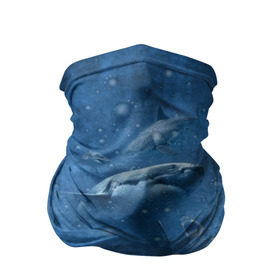 Бандана-труба 3D с принтом Shark , 100% полиэстер, ткань с особыми свойствами — Activecool | плотность 150‒180 г/м2; хорошо тянется, но сохраняет форму | fish | ocean | акула | вода | животные | море | океан | рыба | челюсти