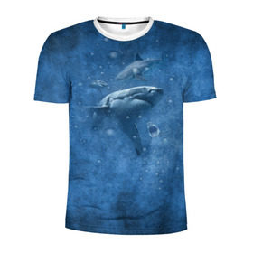 Мужская футболка 3D спортивная с принтом Shark , 100% полиэстер с улучшенными характеристиками | приталенный силуэт, круглая горловина, широкие плечи, сужается к линии бедра | Тематика изображения на принте: fish | ocean | акула | вода | животные | море | океан | рыба | челюсти