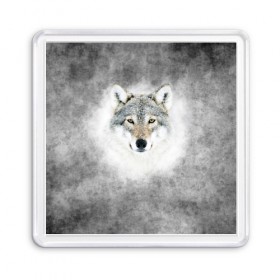 Магнит 55*55 с принтом Wolf , Пластик | Размер: 65*65 мм; Размер печати: 55*55 мм | animal | snow | волк | животные | снег | хищник