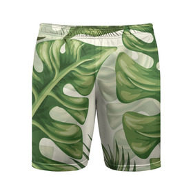 Мужские шорты 3D спортивные с принтом Папоротник ,  |  | vppdgryphon | арт | краска | лес | папоротник | тропики | цветные | цветок | цветы