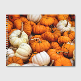 Альбом для рисования с принтом тыквы , 100% бумага
 | матовая бумага, плотность 200 мг. | halloween | дача | овощи | октябрь | оранжевый | осень | сентябрь | тыква | хеллуин