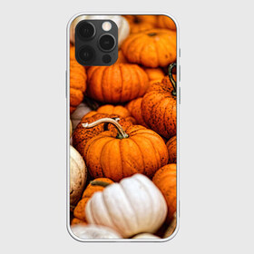 Чехол для iPhone 12 Pro Max с принтом тыквы , Силикон |  | halloween | дача | овощи | октябрь | оранжевый | осень | сентябрь | тыква | хеллуин