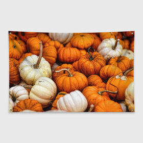 Флаг-баннер с принтом тыквы , 100% полиэстер | размер 67 х 109 см, плотность ткани — 95 г/м2; по краям флага есть четыре люверса для крепления | halloween | дача | овощи | октябрь | оранжевый | осень | сентябрь | тыква | хеллуин