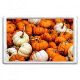 Магнит 45*70 с принтом тыквы , Пластик | Размер: 78*52 мм; Размер печати: 70*45 | halloween | дача | овощи | октябрь | оранжевый | осень | сентябрь | тыква | хеллуин