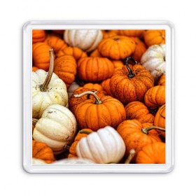 Магнит 55*55 с принтом тыквы , Пластик | Размер: 65*65 мм; Размер печати: 55*55 мм | halloween | дача | овощи | октябрь | оранжевый | осень | сентябрь | тыква | хеллуин