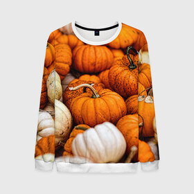 Мужской свитшот 3D с принтом тыквы , 100% полиэстер с мягким внутренним слоем | круглый вырез горловины, мягкая резинка на манжетах и поясе, свободная посадка по фигуре | halloween | дача | овощи | октябрь | оранжевый | осень | сентябрь | тыква | хеллуин