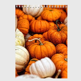 Скетчбук с принтом тыквы , 100% бумага
 | 48 листов, плотность листов — 100 г/м2, плотность картонной обложки — 250 г/м2. Листы скреплены сверху удобной пружинной спиралью | halloween | дача | овощи | октябрь | оранжевый | осень | сентябрь | тыква | хеллуин