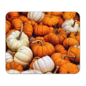 Коврик прямоугольный с принтом тыквы , натуральный каучук | размер 230 х 185 мм; запечатка лицевой стороны | halloween | дача | овощи | октябрь | оранжевый | осень | сентябрь | тыква | хеллуин