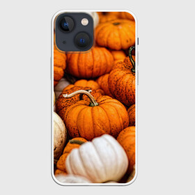 Чехол для iPhone 13 mini с принтом тыквы ,  |  | halloween | дача | овощи | октябрь | оранжевый | осень | сентябрь | тыква | хеллуин