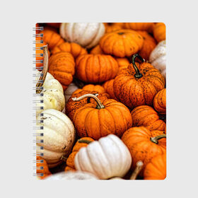 Тетрадь с принтом тыквы , 100% бумага | 48 листов, плотность листов — 60 г/м2, плотность картонной обложки — 250 г/м2. Листы скреплены сбоку удобной пружинной спиралью. Уголки страниц и обложки скругленные. Цвет линий — светло-серый
 | halloween | дача | овощи | октябрь | оранжевый | осень | сентябрь | тыква | хеллуин