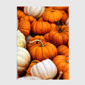 Постер с принтом тыквы , 100% бумага
 | бумага, плотность 150 мг. Матовая, но за счет высокого коэффициента гладкости имеет небольшой блеск и дает на свету блики, но в отличии от глянцевой бумаги не покрыта лаком | halloween | дача | овощи | октябрь | оранжевый | осень | сентябрь | тыква | хеллуин