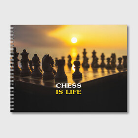Альбом для рисования с принтом Шахматы - это жизнь , 100% бумага
 | матовая бумага, плотность 200 мг. | Тематика изображения на принте: chess | game | sport | гроссмейстер | закат | игра | интеллект | солнце | спорт | фигура | шахматист | шахматы