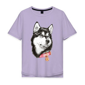 Мужская футболка хлопок Oversize с принтом Маламут , 100% хлопок | свободный крой, круглый ворот, “спинка” длиннее передней части | аляска | карандаш | маламут | рисунок | собака | хаски