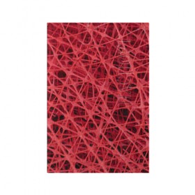 Обложка для паспорта матовая кожа с принтом Сетка , натуральная матовая кожа | размер 19,3 х 13,7 см; прозрачные пластиковые крепления | красный | модные | пластик | сети | сетка | текстура | цвет