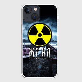 Чехол для iPhone 13 mini с принтом S.T.A.L.K.E.R.   Ж.Е.Н.Я. ,  |  | stalker | волки | грузовик | евгения | жека евгений | женек | женечка | женя | мрак | припять | птицы | радиация | сталкер | чернобыль