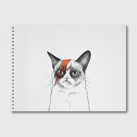 Альбом для рисования с принтом Grumpy cat (David Bowie) , 100% бумага
 | матовая бумага, плотность 200 мг. | бодиарт | грумпи | дэвид боуи | злой кот | интернет | котей | котик | кошка | мем | мемас | мемчик. | молния на лице | рисунок на лице | сердитый