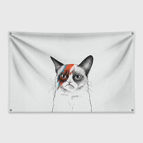 Флаг-баннер с принтом Grumpy cat (David Bowie) , 100% полиэстер | размер 67 х 109 см, плотность ткани — 95 г/м2; по краям флага есть четыре люверса для крепления | бодиарт | грумпи | дэвид боуи | злой кот | интернет | котей | котик | кошка | мем | мемас | мемчик. | молния на лице | рисунок на лице | сердитый