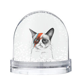 Снежный шар с принтом Grumpy cat (David Bowie) , Пластик | Изображение внутри шара печатается на глянцевой фотобумаге с двух сторон | бодиарт | грумпи | дэвид боуи | злой кот | интернет | котей | котик | кошка | мем | мемас | мемчик. | молния на лице | рисунок на лице | сердитый
