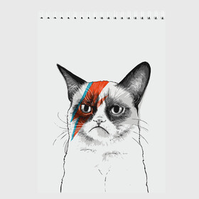 Скетчбук с принтом Grumpy cat (David Bowie) , 100% бумага
 | 48 листов, плотность листов — 100 г/м2, плотность картонной обложки — 250 г/м2. Листы скреплены сверху удобной пружинной спиралью | бодиарт | грумпи | дэвид боуи | злой кот | интернет | котей | котик | кошка | мем | мемас | мемчик. | молния на лице | рисунок на лице | сердитый