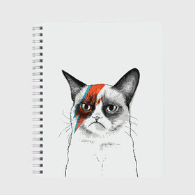 Тетрадь с принтом Grumpy cat (David Bowie) , 100% бумага | 48 листов, плотность листов — 60 г/м2, плотность картонной обложки — 250 г/м2. Листы скреплены сбоку удобной пружинной спиралью. Уголки страниц и обложки скругленные. Цвет линий — светло-серый
 | бодиарт | грумпи | дэвид боуи | злой кот | интернет | котей | котик | кошка | мем | мемас | мемчик. | молния на лице | рисунок на лице | сердитый