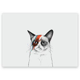 Поздравительная открытка с принтом Grumpy cat (David Bowie) , 100% бумага | плотность бумаги 280 г/м2, матовая, на обратной стороне линовка и место для марки
 | бодиарт | грумпи | дэвид боуи | злой кот | интернет | котей | котик | кошка | мем | мемас | мемчик. | молния на лице | рисунок на лице | сердитый