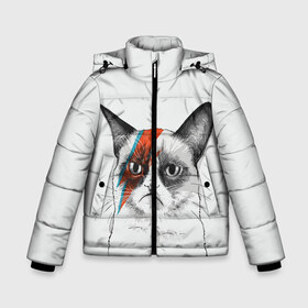 Зимняя куртка для мальчиков 3D с принтом Grumpy cat (David Bowie) , ткань верха — 100% полиэстер; подклад — 100% полиэстер, утеплитель — 100% полиэстер | длина ниже бедра, удлиненная спинка, воротник стойка и отстегивающийся капюшон. Есть боковые карманы с листочкой на кнопках, утяжки по низу изделия и внутренний карман на молнии. 

Предусмотрены светоотражающий принт на спинке, радужный светоотражающий элемент на пуллере молнии и на резинке для утяжки | бодиарт | грумпи | дэвид боуи | злой кот | интернет | котей | котик | кошка | мем | мемас | мемчик. | молния на лице | рисунок на лице | сердитый
