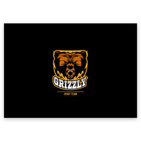 Поздравительная открытка с принтом GTIZZLY(sport team) , 100% бумага | плотность бумаги 280 г/м2, матовая, на обратной стороне линовка и место для марки
 | Тематика изображения на принте: bear | grizzly | гризли | медведь | ярость