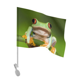 Флаг для автомобиля с принтом Лягушка , 100% полиэстер | Размер: 30*21 см | frog | жаба | животные | зеленый | ква | лягуха | лягушка | лягушонок