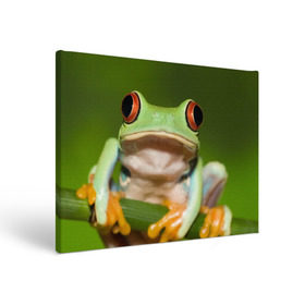 Холст прямоугольный с принтом Лягушка , 100% ПВХ |  | Тематика изображения на принте: frog | жаба | животные | зеленый | ква | лягуха | лягушка | лягушонок