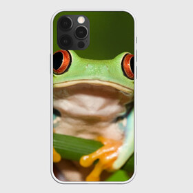 Чехол для iPhone 12 Pro Max с принтом Лягушка , Силикон |  | frog | жаба | животные | зеленый | ква | лягуха | лягушка | лягушонок