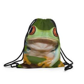 Рюкзак-мешок 3D с принтом Лягушка , 100% полиэстер | плотность ткани — 200 г/м2, размер — 35 х 45 см; лямки — толстые шнурки, застежка на шнуровке, без карманов и подкладки | frog | жаба | животные | зеленый | ква | лягуха | лягушка | лягушонок