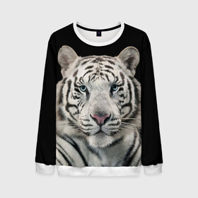 Мужской свитшот 3D с принтом White tiger , 100% полиэстер с мягким внутренним слоем | круглый вырез горловины, мягкая резинка на манжетах и поясе, свободная посадка по фигуре | Тематика изображения на принте: tiger white | белый тигр | дикая кошка | тигр