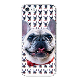 Чехол для iPhone 5/5S матовый с принтом Французский бульдог , Силикон | Область печати: задняя сторона чехла, без боковых панелей | бульдог | бульдожка | пес | песик | собака | французский бульдог